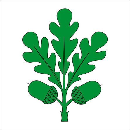 Eichberg flag
